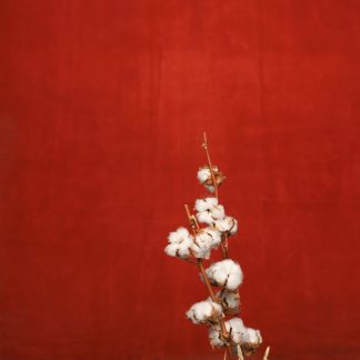 Leren fotoachtergrond  XL | robijn Rood