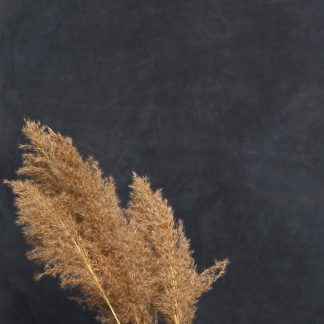 Leren fotoachtergrond  XL | antraciet grijs