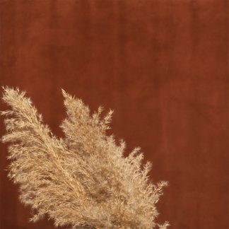 Leren fotoachtergrond  XL | koper bruin