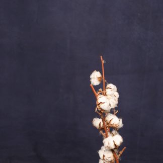 Leren fotoachtergrond XL | Nacht blauw