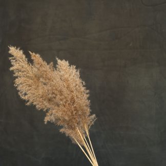 Leren fotoachtergrond XL | donker zee groen