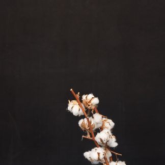 Leren fotoachtergrond  XL | Zwart