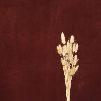 Leren fotoachtergrond  XL | wijnrood