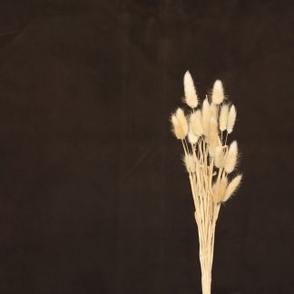 Leren fotoachtergrond  | sepia bruin