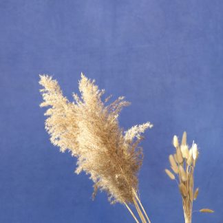 Leren fotoachtergrond  XL | hemels blauw