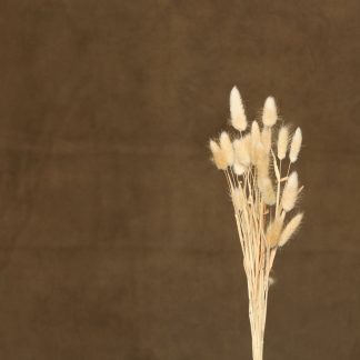 Leren fotoachtergrond  XL | kaki bruin