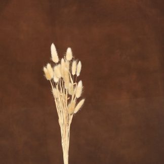 Leren fotoachtergrond  L | kastanje bruin