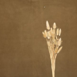 Leren fotoachtergrond  L | oker bruin