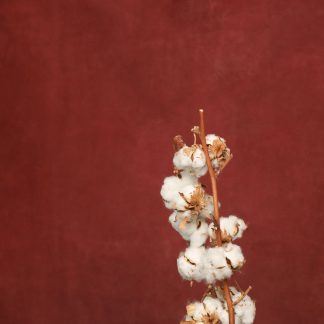 Leren fotoachtergrond  XL | Karmijnrood