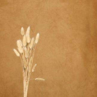 Leren fotoachtergrond  XL | cider bruin