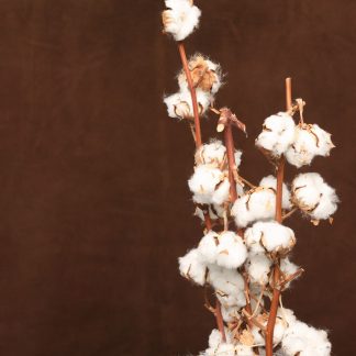 Leren fotoachtergrond  XL | siroop bruin