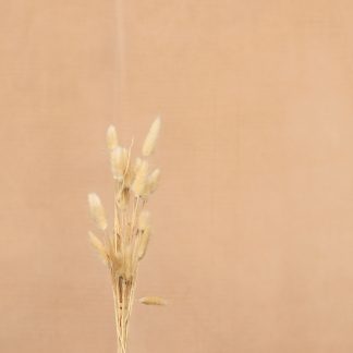 Leren fotoachtergrond  XL | zalm beige