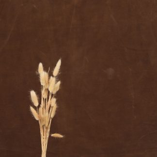 Leren fotoachtergrond  | noten bruin