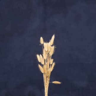 Leren fotoachtergrond  XL | denim blauw