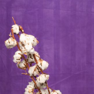 Leren fotoachtergrond XL  | donker lila