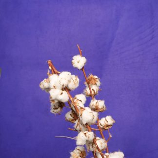 Leren fotoachtergrond  XL | Paars blauw