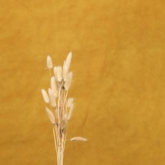 Leren fotoachtergrond  | Oker geel