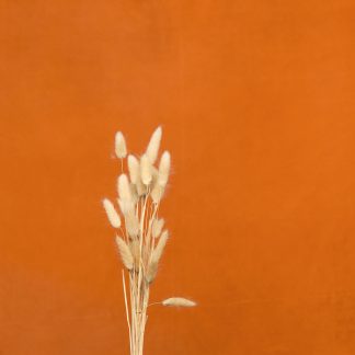 Leren fotoachtergrond  XL | deep oranje