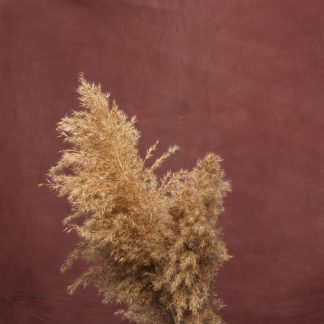 Leren fotoachtergrond  XL | roest bruin