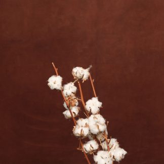 Leren fotoachtergrond  XL | Bruin rood