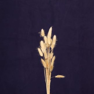 Leren fotoachtergrond  XL | saffier blauw