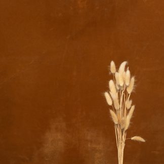 Leren fotoachtergrond  L | kaneel