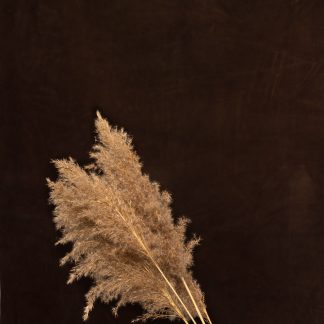 Leren fotoachtergrond  L | Espresso