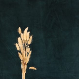 Leren fotoachtergrond  M | elegance spruce