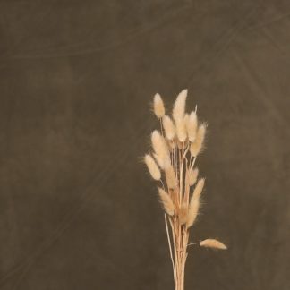 Leren fotoachtergrond  L | Sage grijs