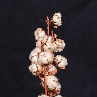 Leren fotoachtergrond L | mysterieus donker blauw