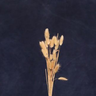 Leren fotoachtergrond L | space blauw