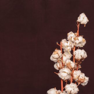 Leren fotoachtergrond  L | Aubergine