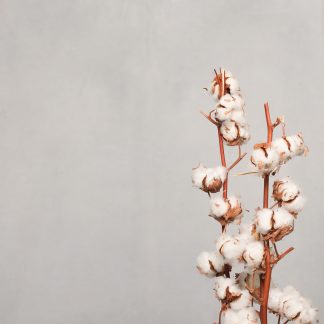 Leren fotoachtergrond  XL | ochtend