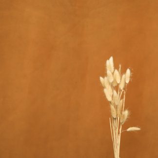 Leren fotoachtergrond  XL | pompoen