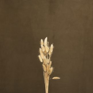 Leren fotoachtergrond  L | Dark Almond