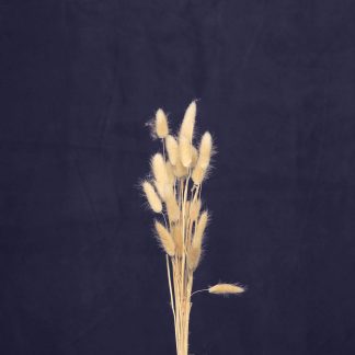 Leren fotoachtergrond  XL | Indigo