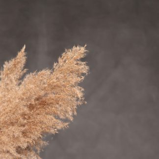 Leren fotoachtergrond  L | Iron Stone