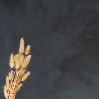 Leren fotoachtergrond  XL | Dirty Blue