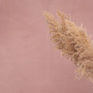 Leren fotoachtergrond  L | Blush Pink