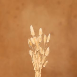 Leren fotoachtergrond  XL | Cheetah