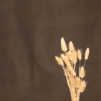 Leren fotoachtergrond  XL | Khaki grijsbruin