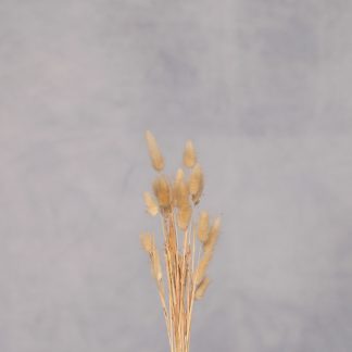 Leren fotoachtergrond  L | Shimmering ocean