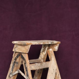 Leren fotoachtergrond  XL | Purple Clematis