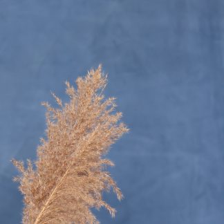 Leren fotoachtergrond  L | Atlantic Blue