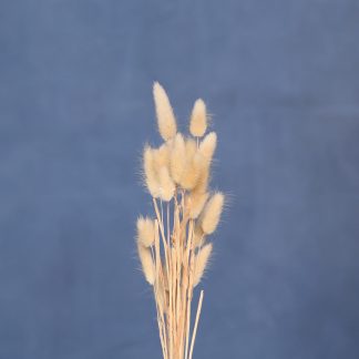 Leren fotoachtergrond  XL | Husky Blue