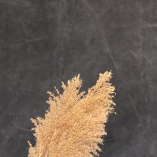 Leren fotoachtergrond  XL | Blotched