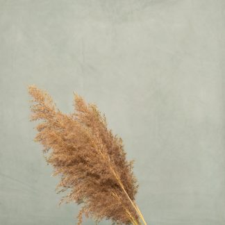 Leren fotoachtergrond  L | mint