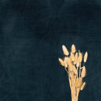 Leren fotoachtergrond  L | Patrol