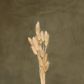 Leren fotoachtergrond XL | Olive Green