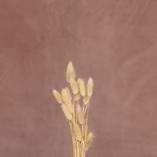 Leren fotoachtergrond L | Clay brown